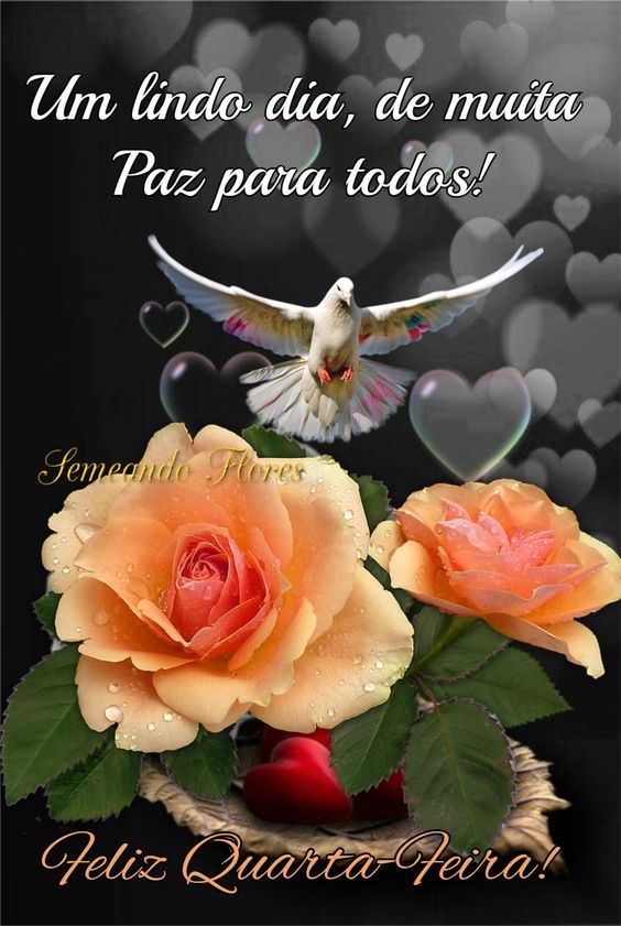 Feliz quarta-feira com paz e flores