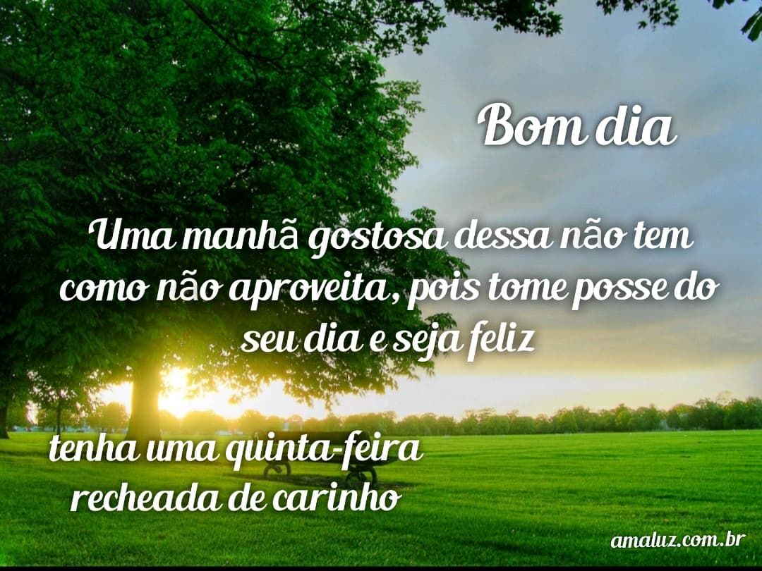 bom dia tenha uma quinta feira recheada de carinho