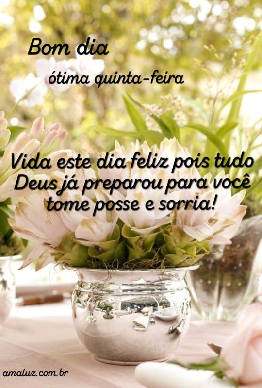 bom dia ótima quinta feira