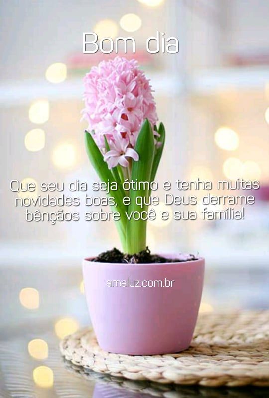 bom dia desejo um ótimo dia com bençãos e novidades 