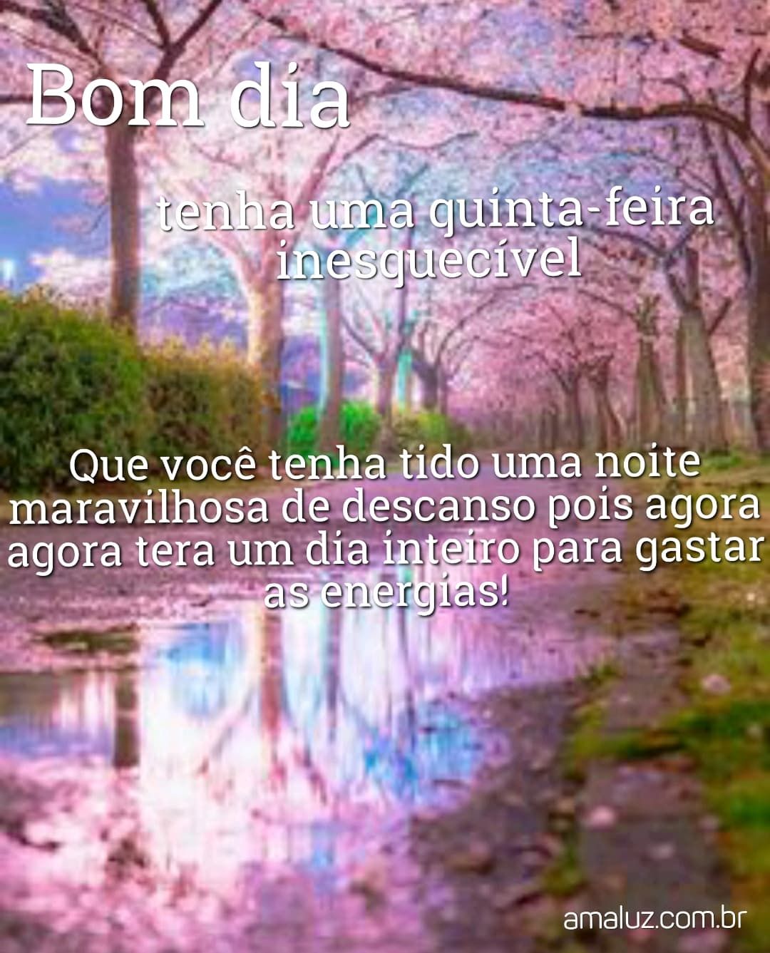 bom dia tenha uma quinta feira inesquecível 