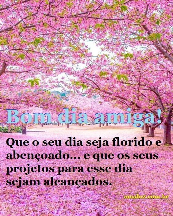 Bom dia amiga florido mensagens para whatsapp