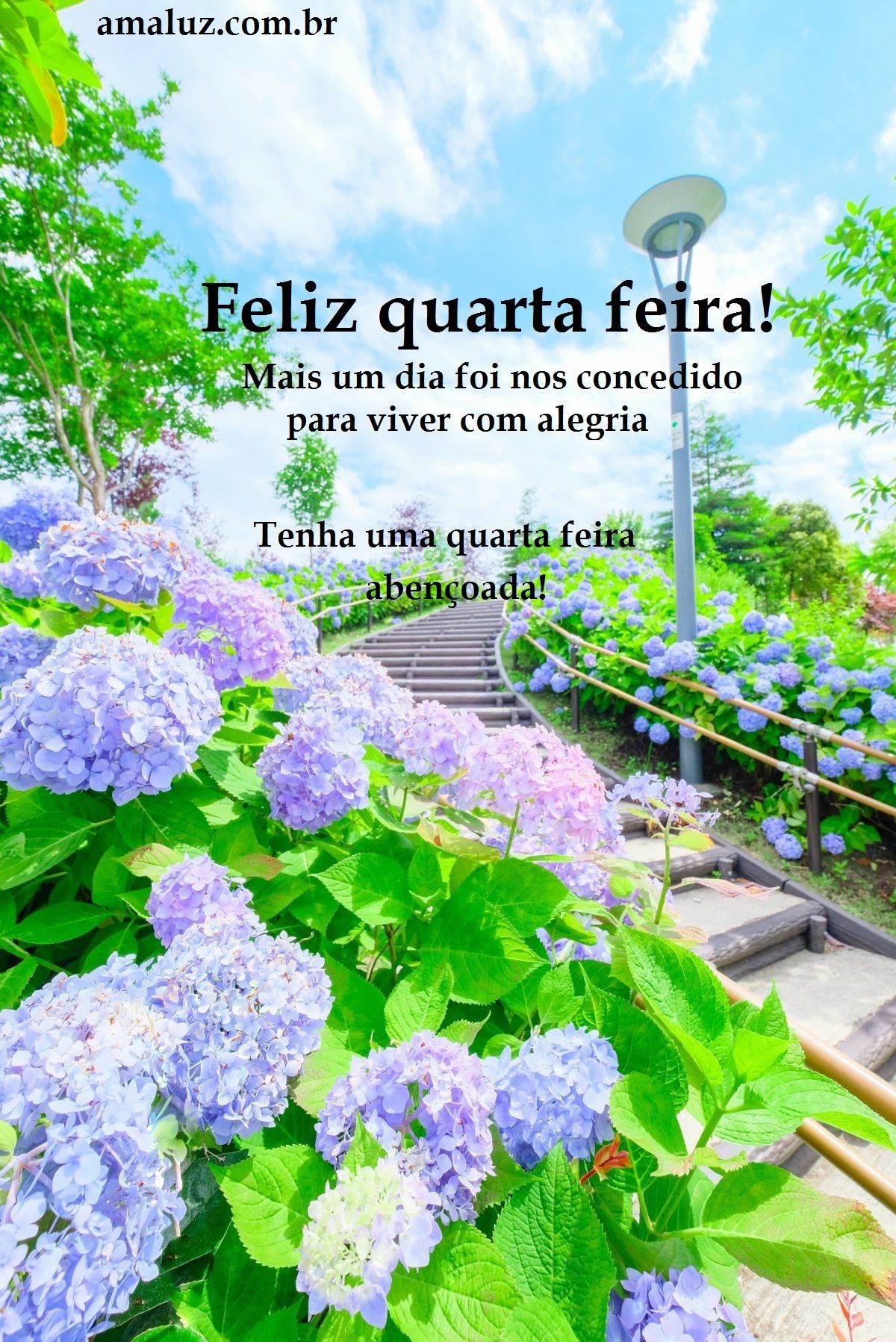 Feliz quarta feira com flores e bençãos para você
