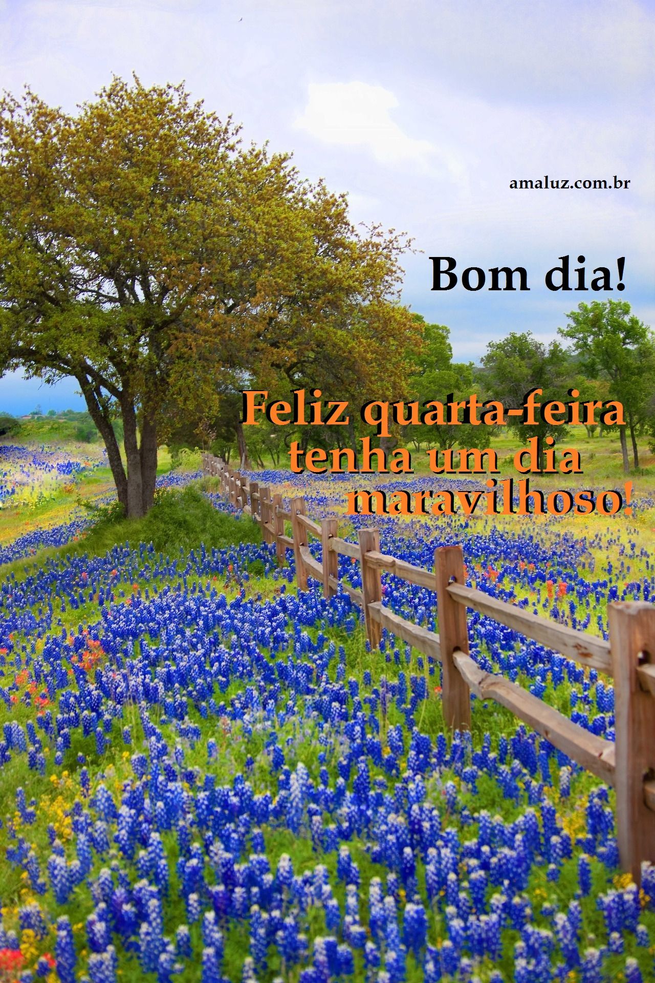 Feliz quarta feira maravilhosa.