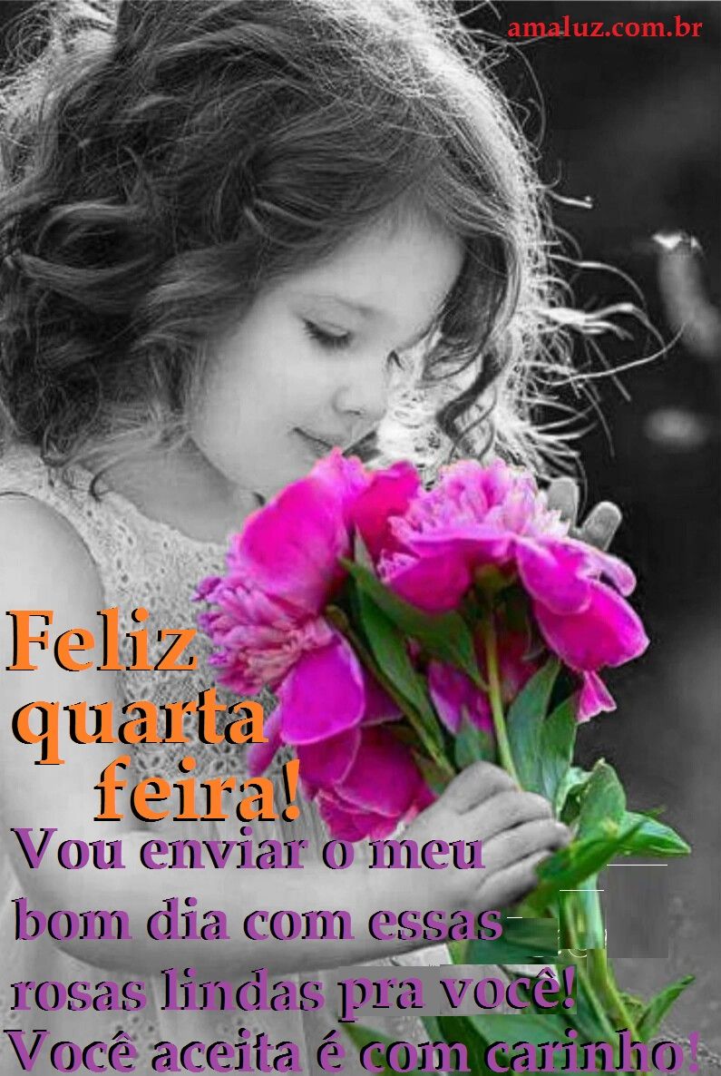 Feliz quarta feira bom dia! Com lindas flores e carinho
