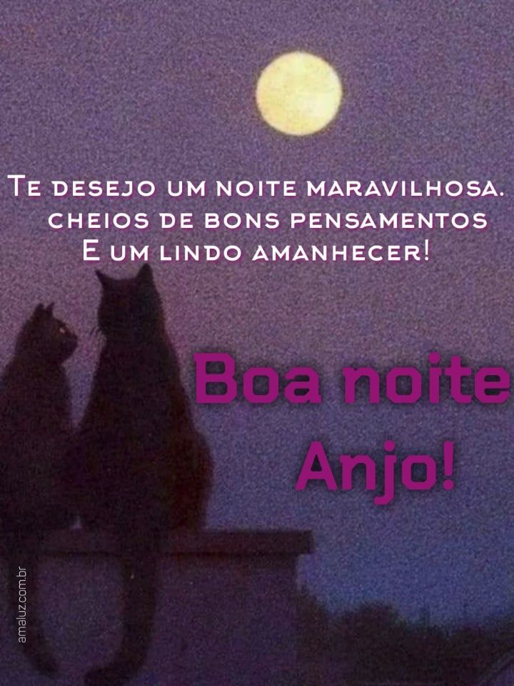 Boa noite anjo!