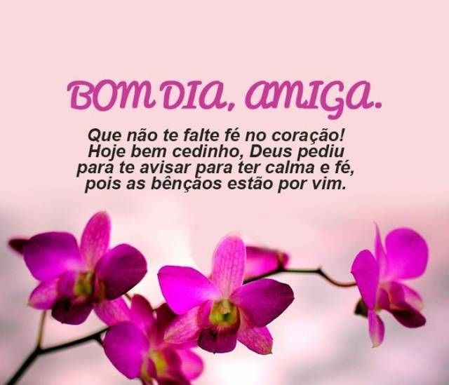 Bom dia amiga com uma mensagem pro seu coração