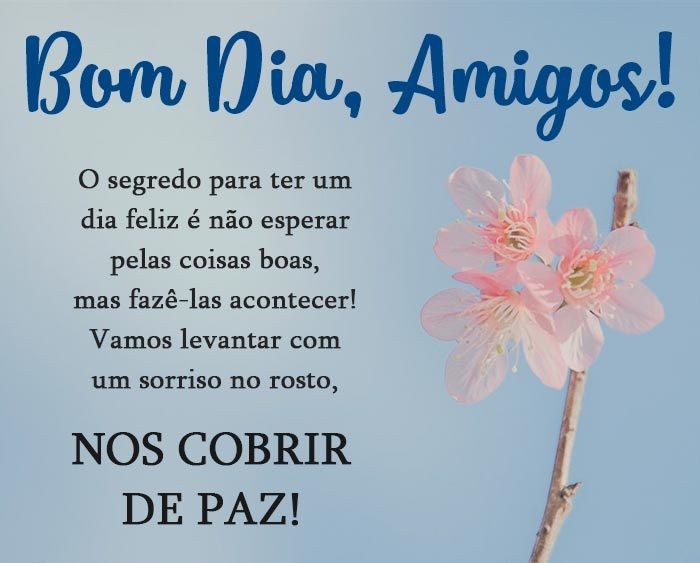 30 Imagens e mensagens de bom dia para um amigo especial acordar feliz