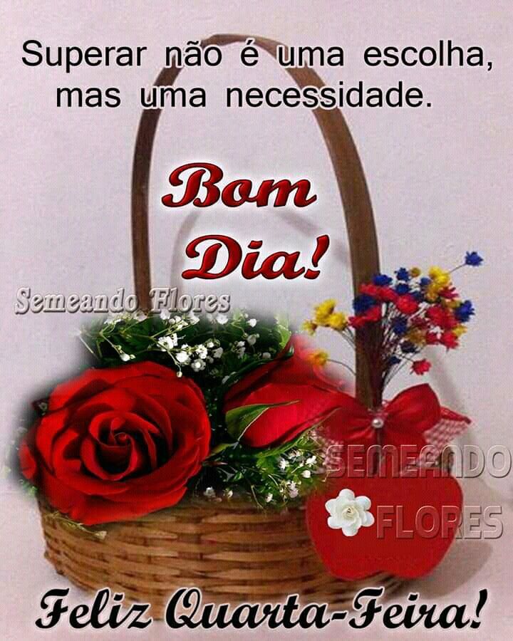 Bom dia com flores e feliz quarta feira