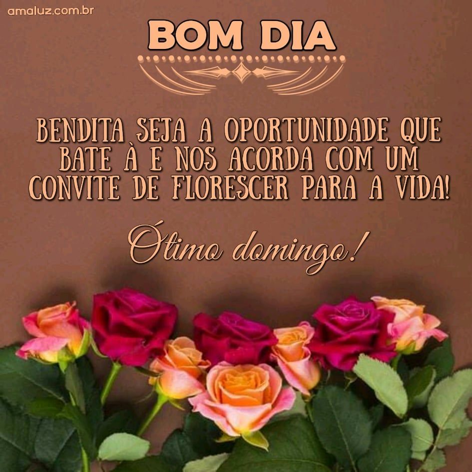 Bom dia repleto de rosas e frases motivacionais.