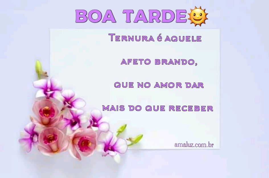 Uma boa tarde whatsapp