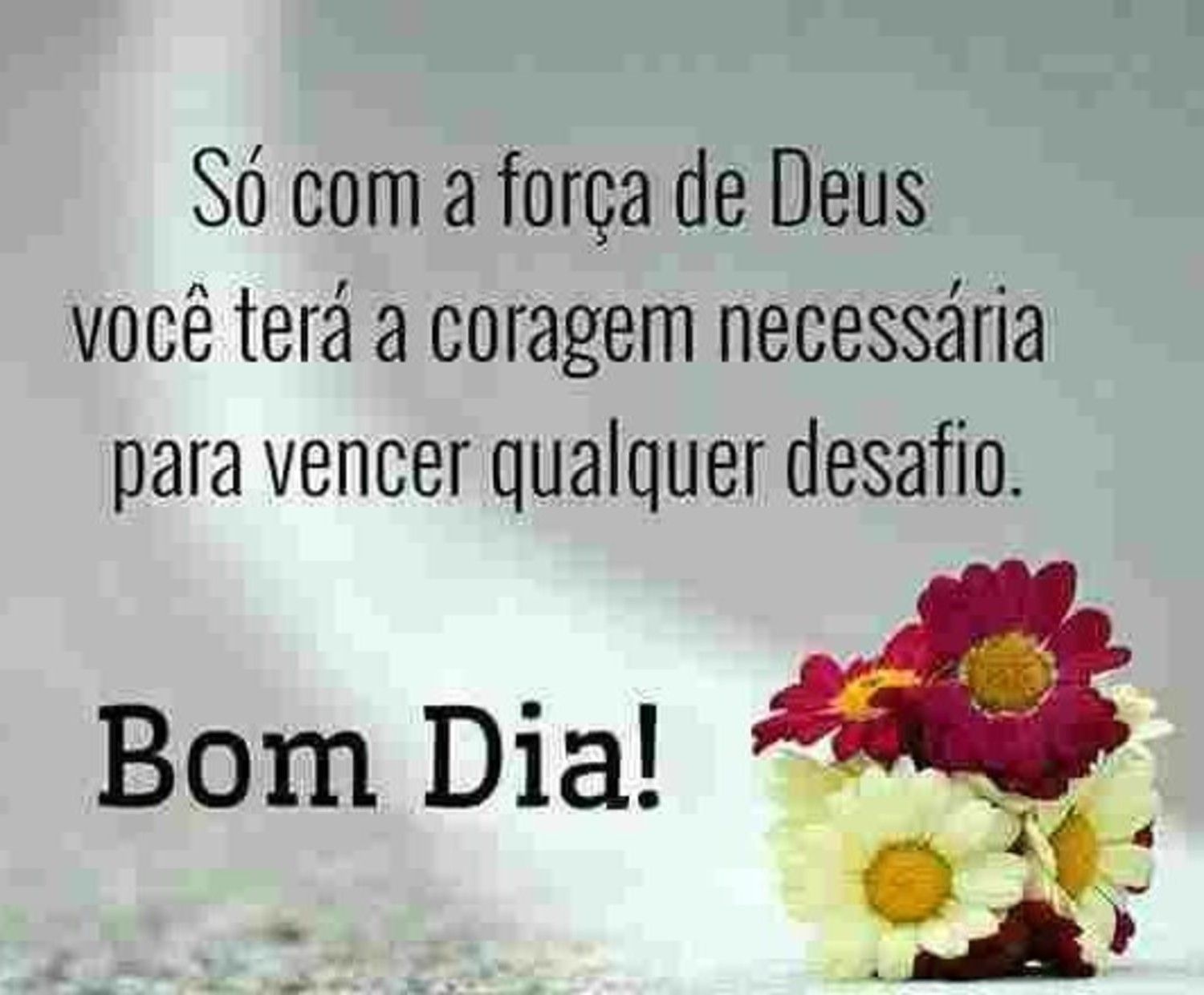 a coragem para vencer qualquer desafio bom dia