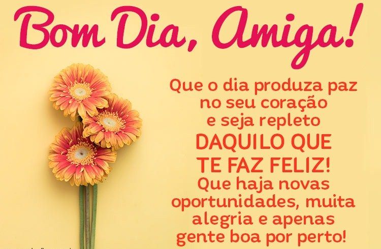 Bom dia amiga feliz