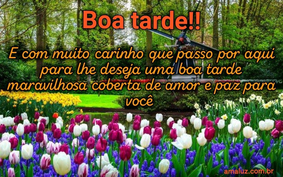 boa tarde coberta de carinho e paz para whatsapp