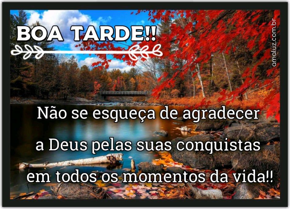 boa tarde com um toque de motivação