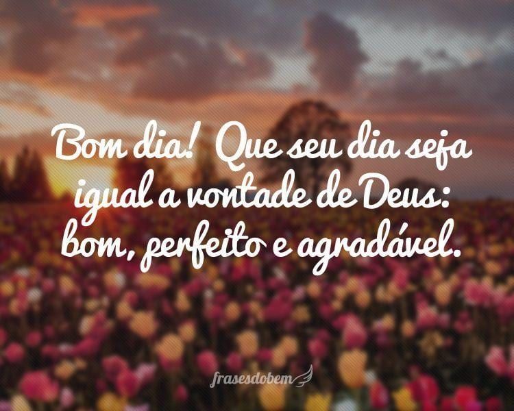 bom dia bom perfeito e agradável