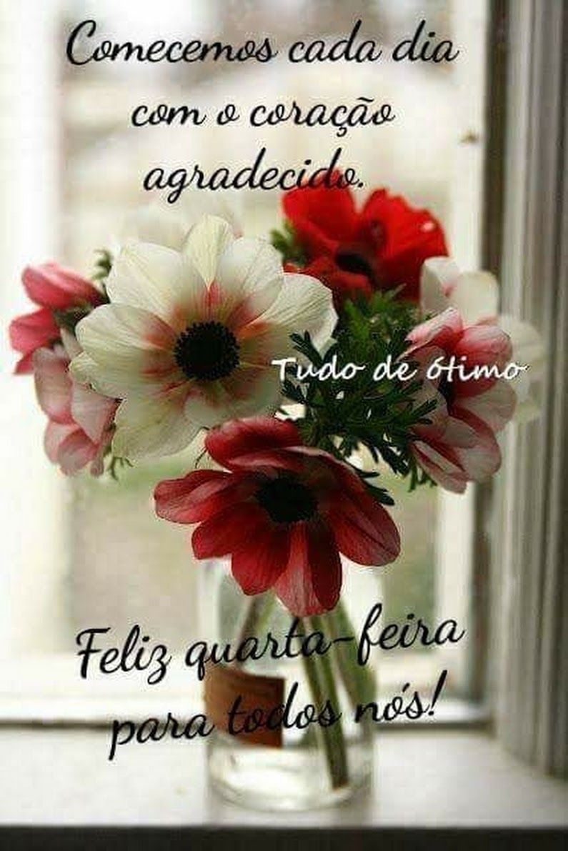 bom dia quarta feira com flores