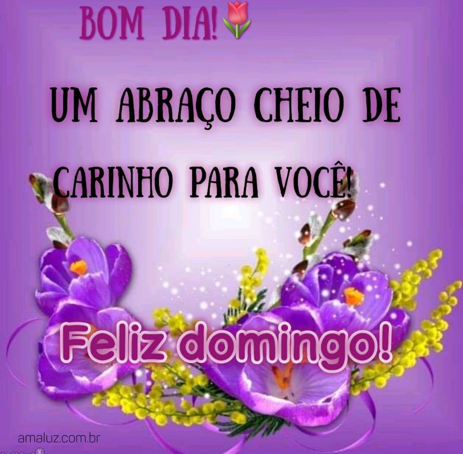 bom dia um abraço carinhoso feliz domingo