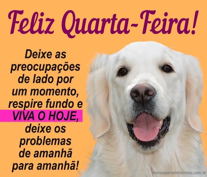 feliz quarte feira viva o hoje