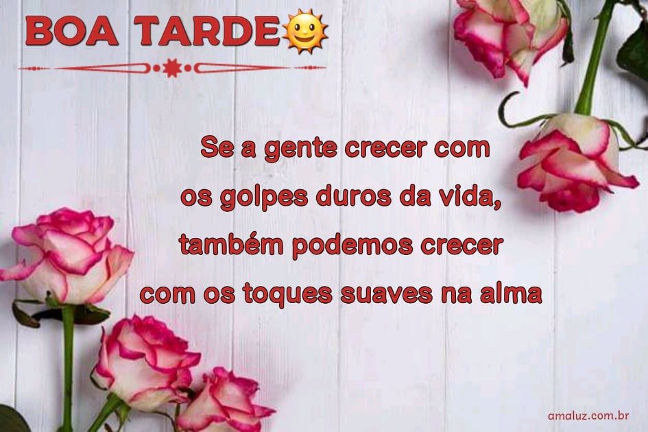 lindas mensagens de boa tarde para whatsapp