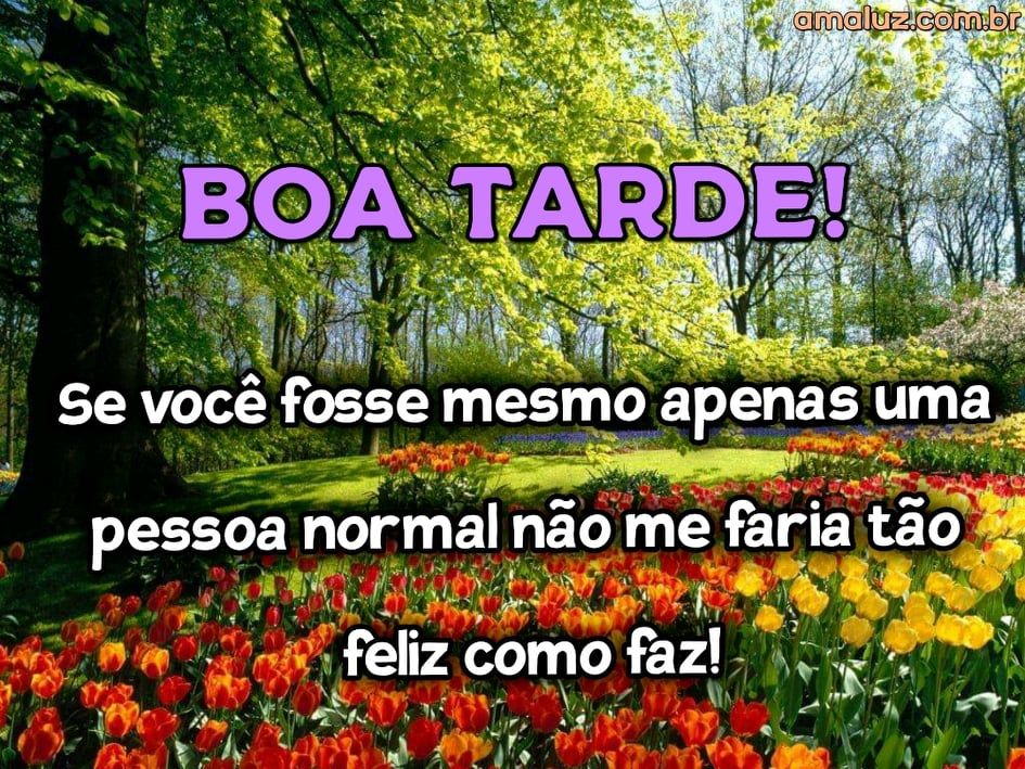 mensagem de boa tarde para whatsapp