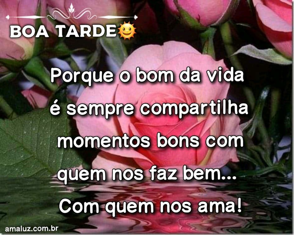 o bom da vida e compartilha momentos bons boa tarde