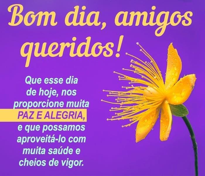 paz e alegria e um bom dia amigos queridos