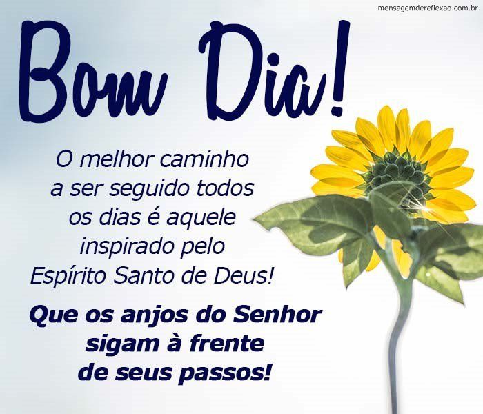 que os anjos do senhor sigam á frente de seus passos bom dia