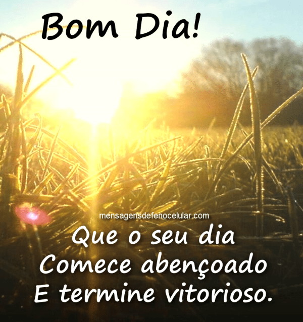 que seu dia comece abençoado e termine vitorioso bom dia