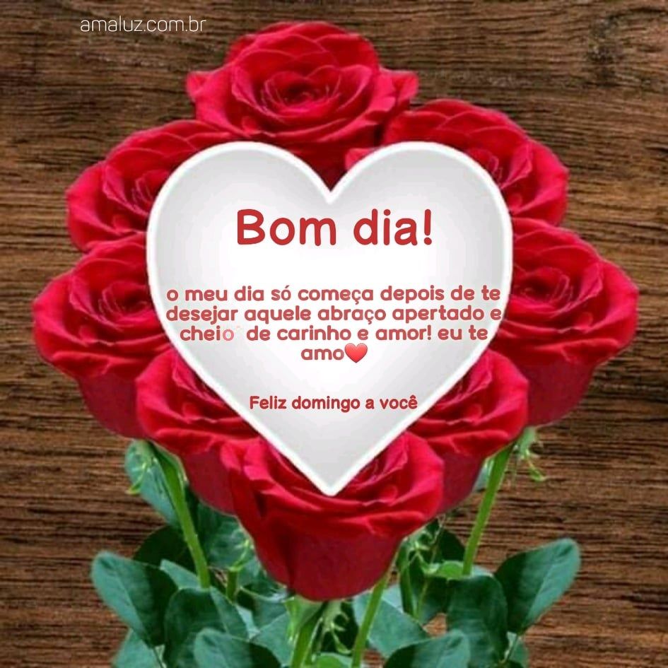 um bom dia e feliz domingo carinhoso a você