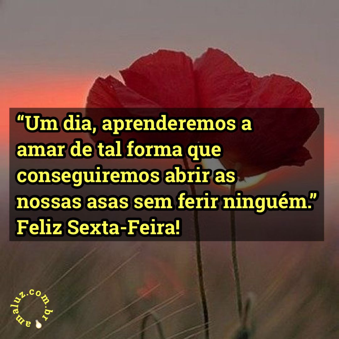 Aprenderemos um dia a amar de uma forma tão boa que não vamos conseguir ferir ninguém!