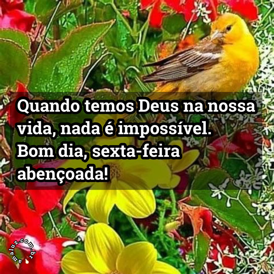 Quando temos Deus na nossa vida, nada impossível. Bom dia!