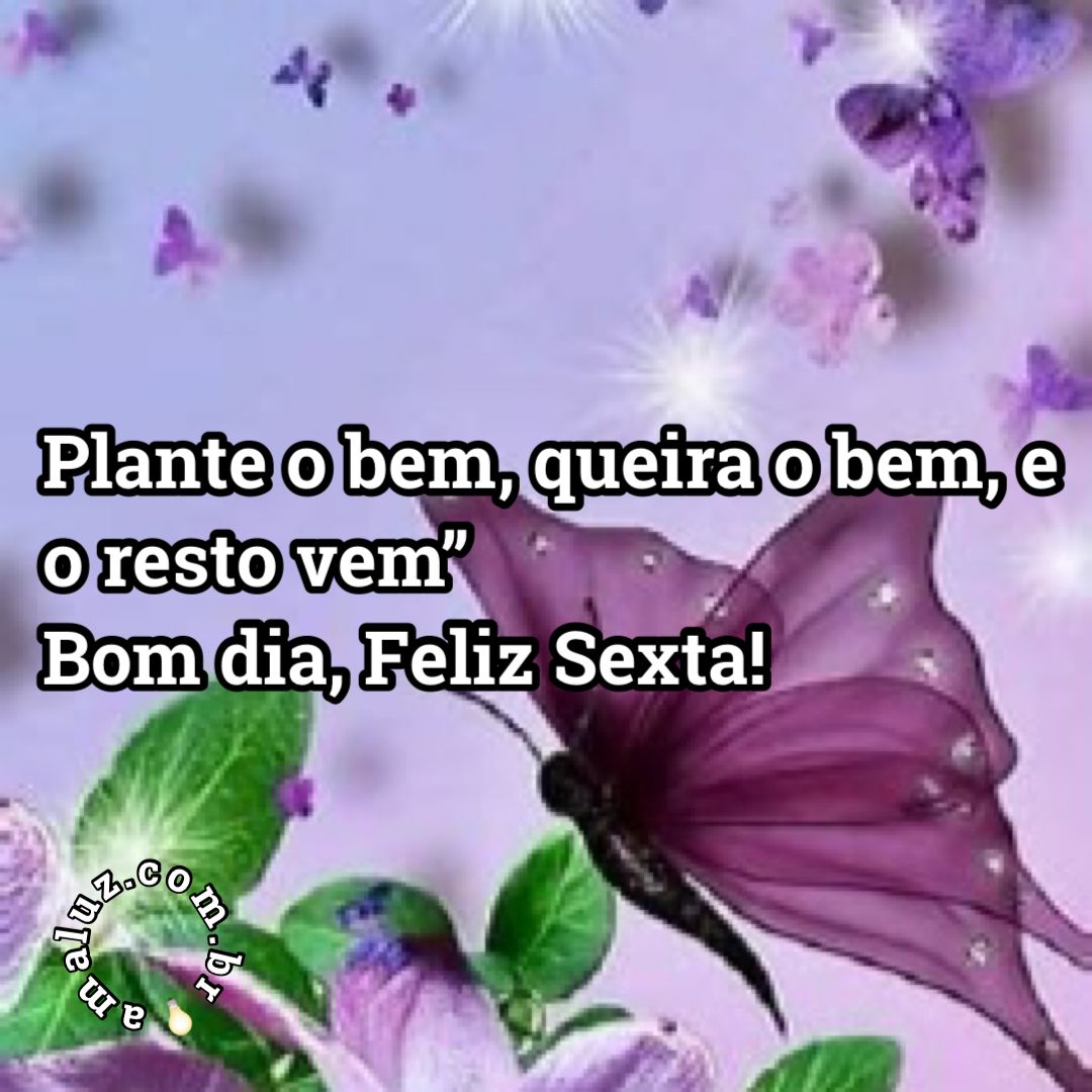 plante o bem, queira o bem, que o resto vem !