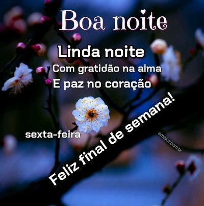 Boa noite com gratidão
