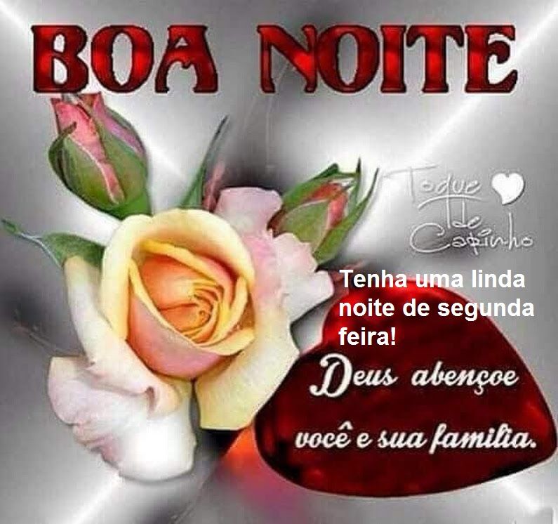 Boa noite de segunda feira com carinho para você que é muito especial