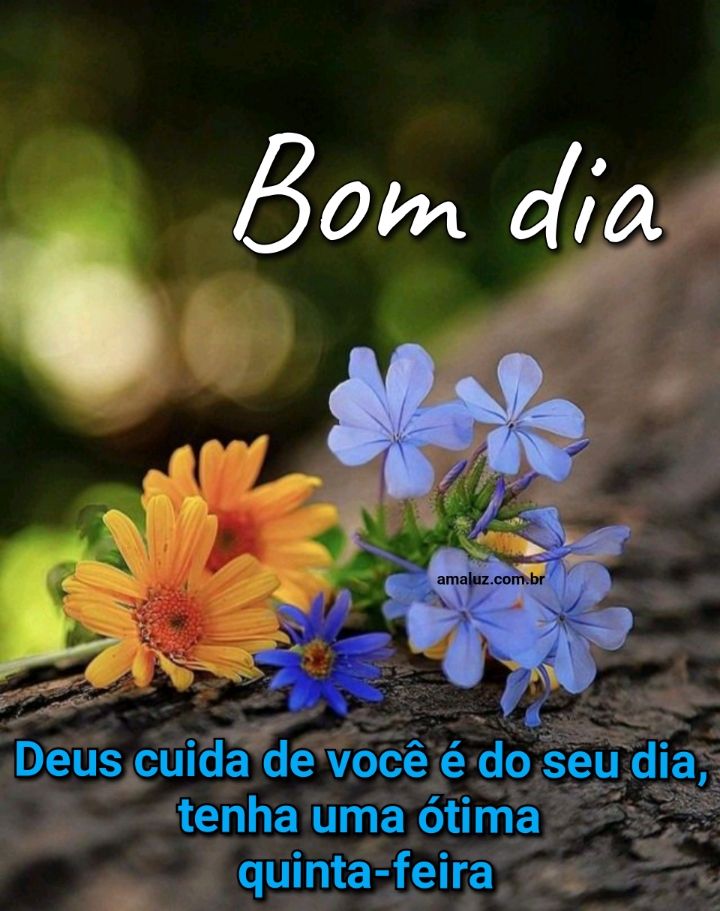Bom dia Deus cuida de você e do seu dia