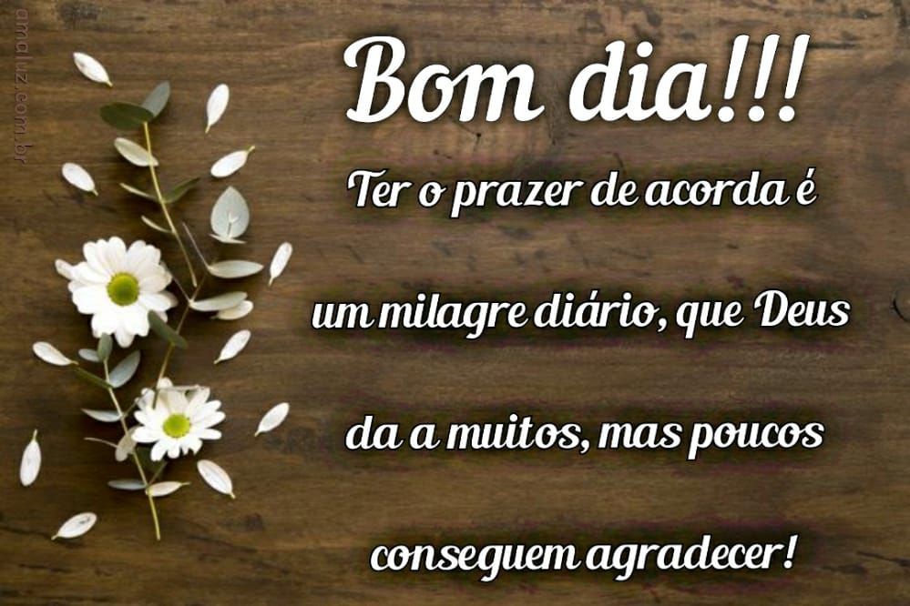 Bom dia! Ter o prazer de acordar é um milagre diario! bom dia de 2021 para whatsapp