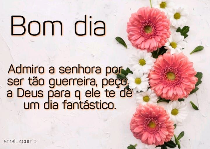 Bom dia admiro minha tia