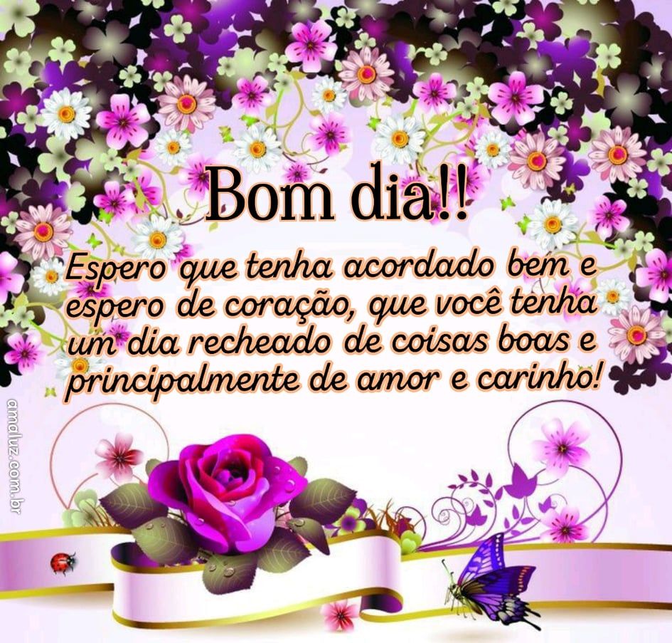 Bom dia com muito carinho especial e harmonia