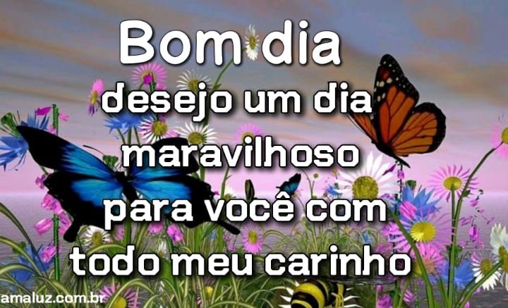Bom dia desejo um dia maravilhoso para você