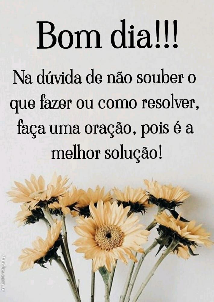 Bom dia especialmente para você meus amigos do whatsapp