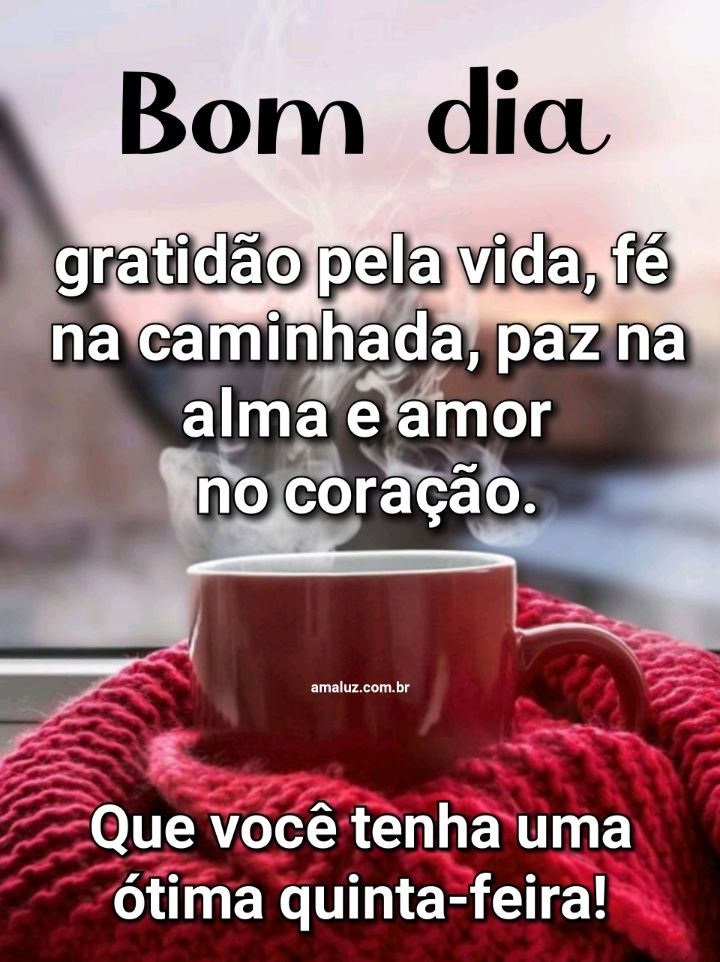 Bom dia gratidão pela vida