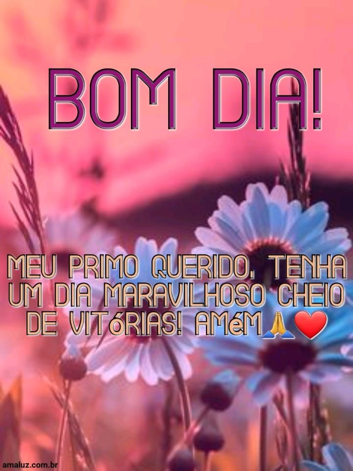 Bom dia meu primo querido tenha um dia maravilhoso.