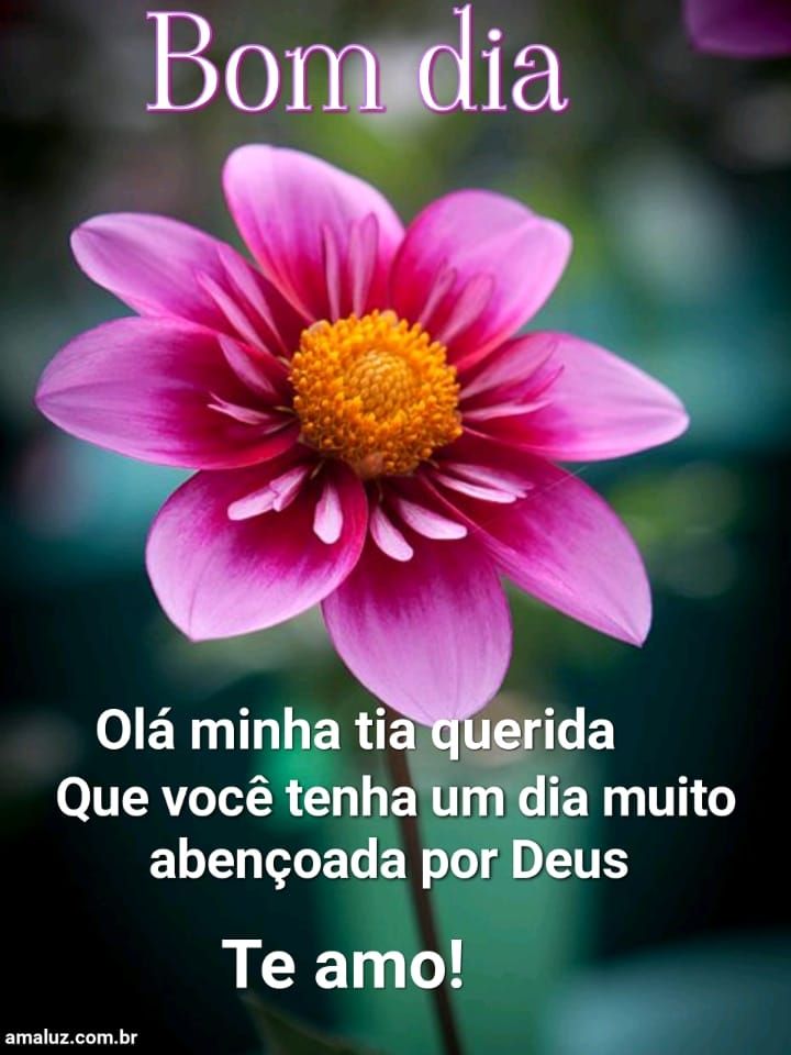 Bom dia minha querida tia te amo
