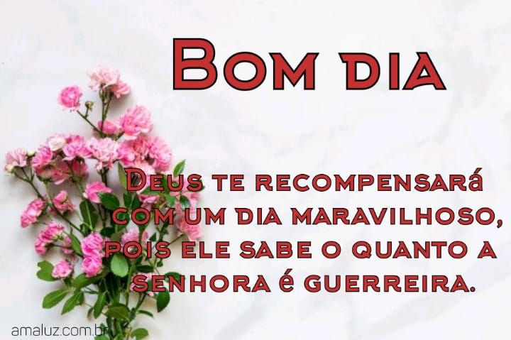 Bom dia minha tia Deus te dê um dia maravilhoso pois você e guerreira