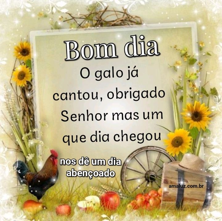 Bom dia o galo já cantou