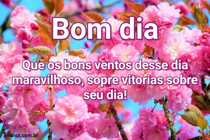 Bom dia que Deus dê vitórias sobre seus dias
