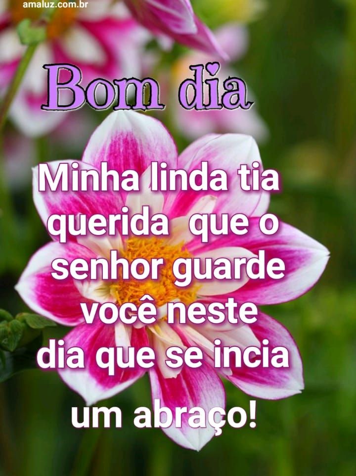 Bom dia que neste dia Deus te guarde de todo mal