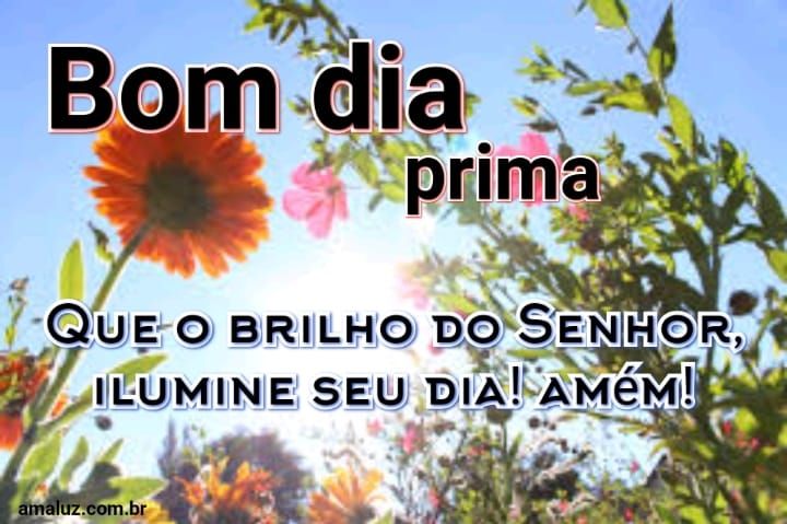 Bom dia que o brilho do senhor ilumine seu dia