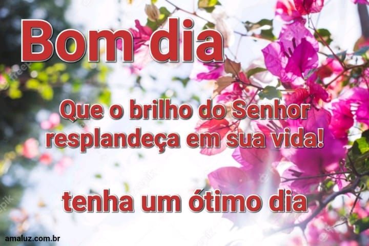 Bom dia que o brilho do senhor resplandece sobre sua vida